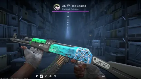 CS2 skin showcase from local