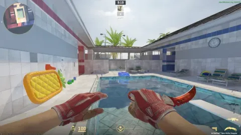 CS2 knife and gloves showcase