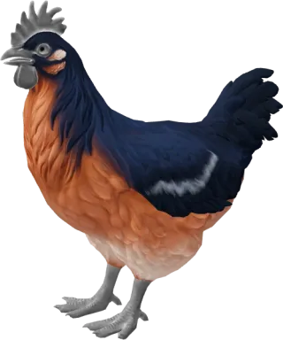 CS2 pet chicken, Catalana breed, Blue and Light Orange base colour, rendered from the game files