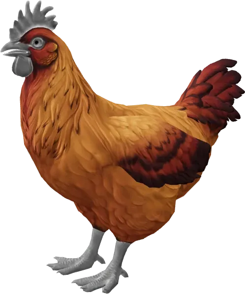 CS2 pet chicken, Catalana breed, Dark Orange base colour, rendered from the game files