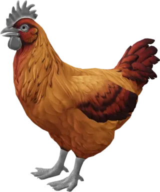 CS2 pet chicken, Catalana breed, Dark Orange base colour, rendered from the game files
