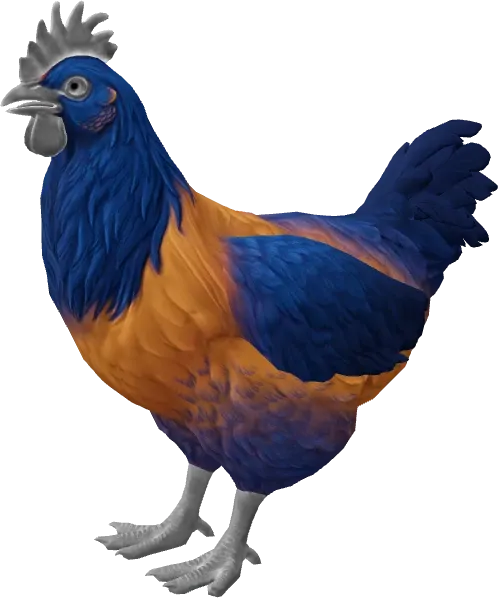 CS2 pet chicken, Catalana breed, Orange Blue Neck base colour, rendered from the game files