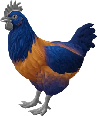 CS2 pet chicken, Catalana breed, Orange Blue Neck base colour, rendered from the game files