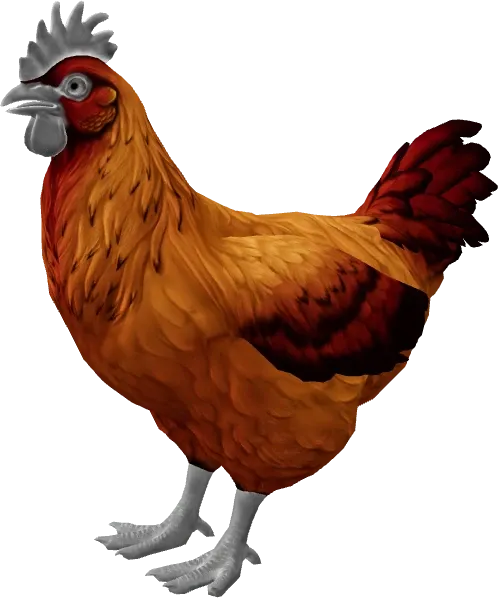 CS2 pet chicken, Catalana breed, Red Yellow Gradient base colour, rendered from the game files