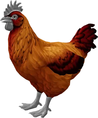 CS2 pet chicken, Catalana breed, Red Yellow Gradient base colour, rendered from the game files