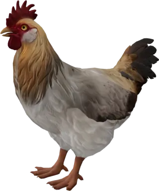 CS2 pet chicken, Catalana breed, White Tan Head base colour, rendered from the game files