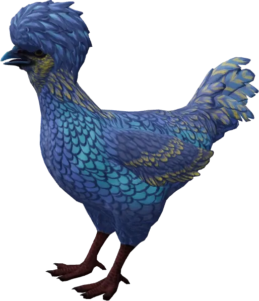 CS2 pet chicken, Polish breed, Blue Yellow base colour, rendered from the game files