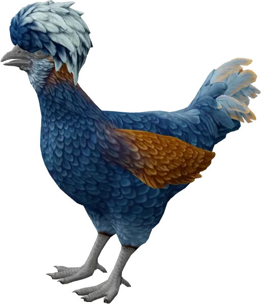 CS2 pet chicken, Polish breed, Blue base colour, rendered from the game files