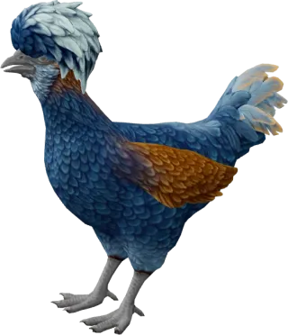 CS2 pet chicken, Polish breed, Blue base colour, rendered from the game files