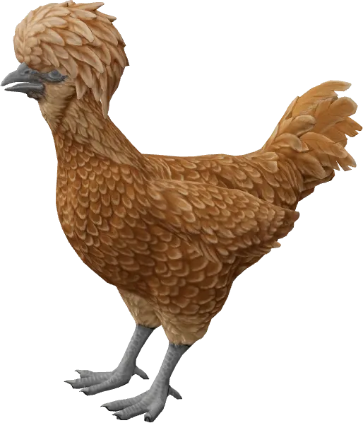 CS2 pet chicken, Polish breed, Brown base colour, rendered from the game files