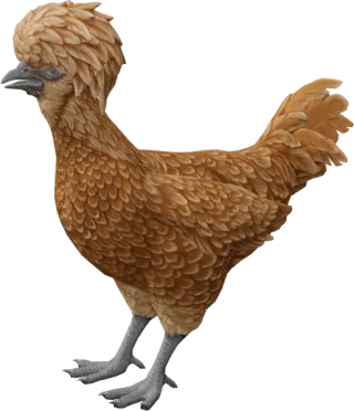 CS2 pet chicken, Polish breed, Brown base colour, rendered from the game files