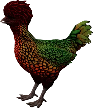 CS2 pet chicken, Polish breed, Green with Red Head base colour, rendered from the game files