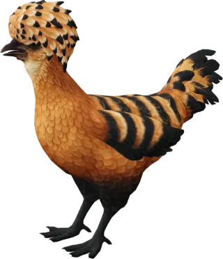 CS2 pet chicken, Polish breed, Orange with Black Stripes base colour, rendered from the game files
