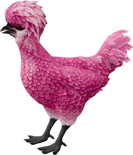 CS2 pet chicken, Polish breed, Pink base colour, rendered from the game files