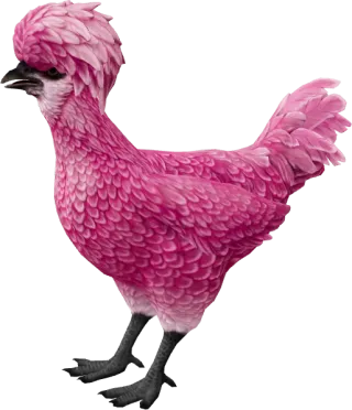 CS2 pet chicken, Polish breed, Pink base colour, rendered from the game files