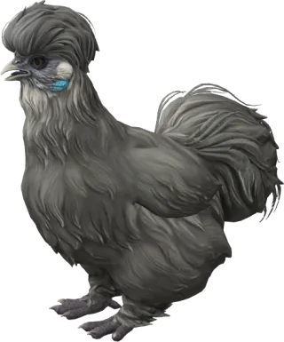 CS2 pet chicken, Silkie breed, Black base colour, rendered from the game files