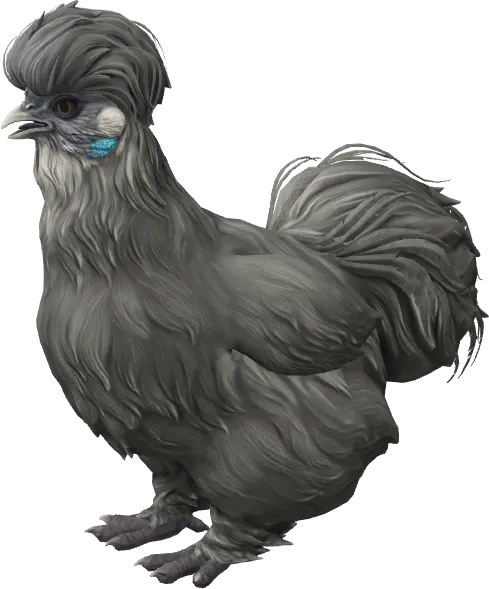 CS2 pet chicken, Silkie breed, Black base colour, rendered from the game files