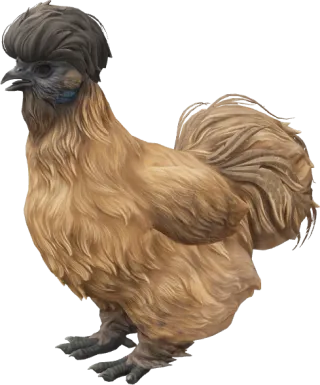 CS2 pet chicken, Silkie breed, Brown with Black Head base colour, rendered from the game files
