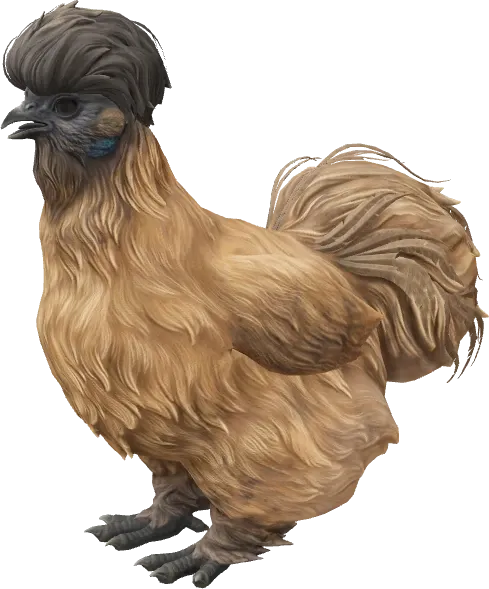 CS2 pet chicken, Silkie breed, Brown with Black Head base colour, rendered from the game files