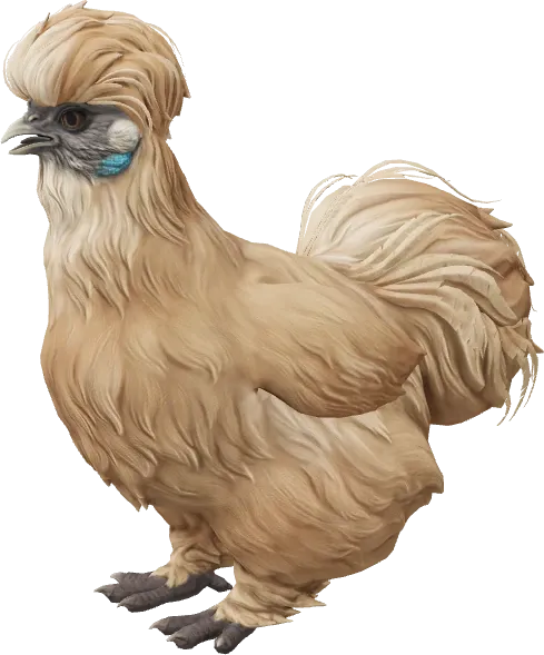 CS2 pet chicken, Silkie breed, Brown base colour, rendered from the game files