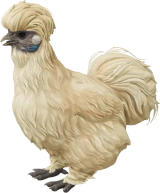 CS2 pet chicken, Silkie breed, Leopard base colour, rendered from the game files