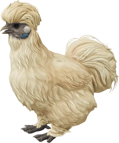 CS2 pet chicken, Silkie breed, Leopard base colour, rendered from the game files