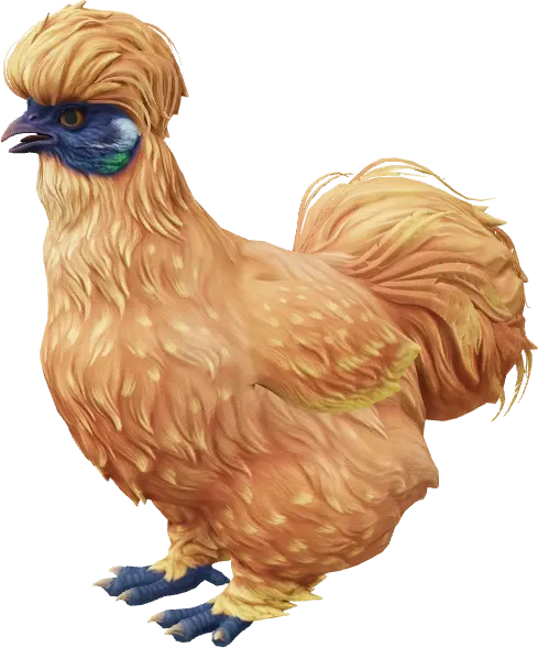 CS2 pet chicken, Silkie breed, Orange base colour, rendered from the game files