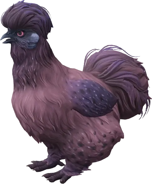CS2 pet chicken, Silkie breed, Purple base colour, rendered from the game files