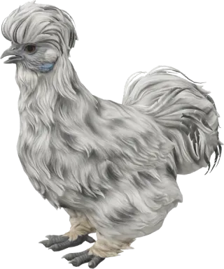 CS2 pet chicken, Silkie breed, Splash base colour, rendered from the game files