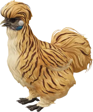 CS2 pet chicken, Silkie breed, Tiger base colour, rendered from the game files