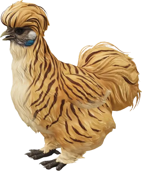 CS2 pet chicken, Silkie breed, Tiger base colour, rendered from the game files