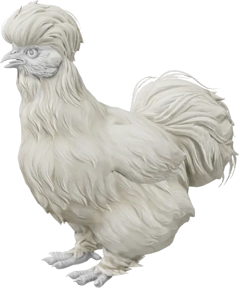 CS2 pet chicken, Silkie breed, White base colour, rendered from the game files