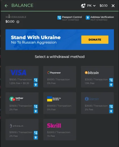DMarket withdrawal methods screen showing Visa, Payoneer, Skrill, and crypto payout fees and KYC status