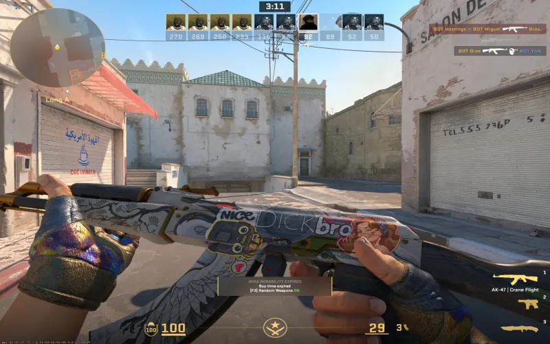 CS2 AK-47 Crane Flight with a creative sticker combination