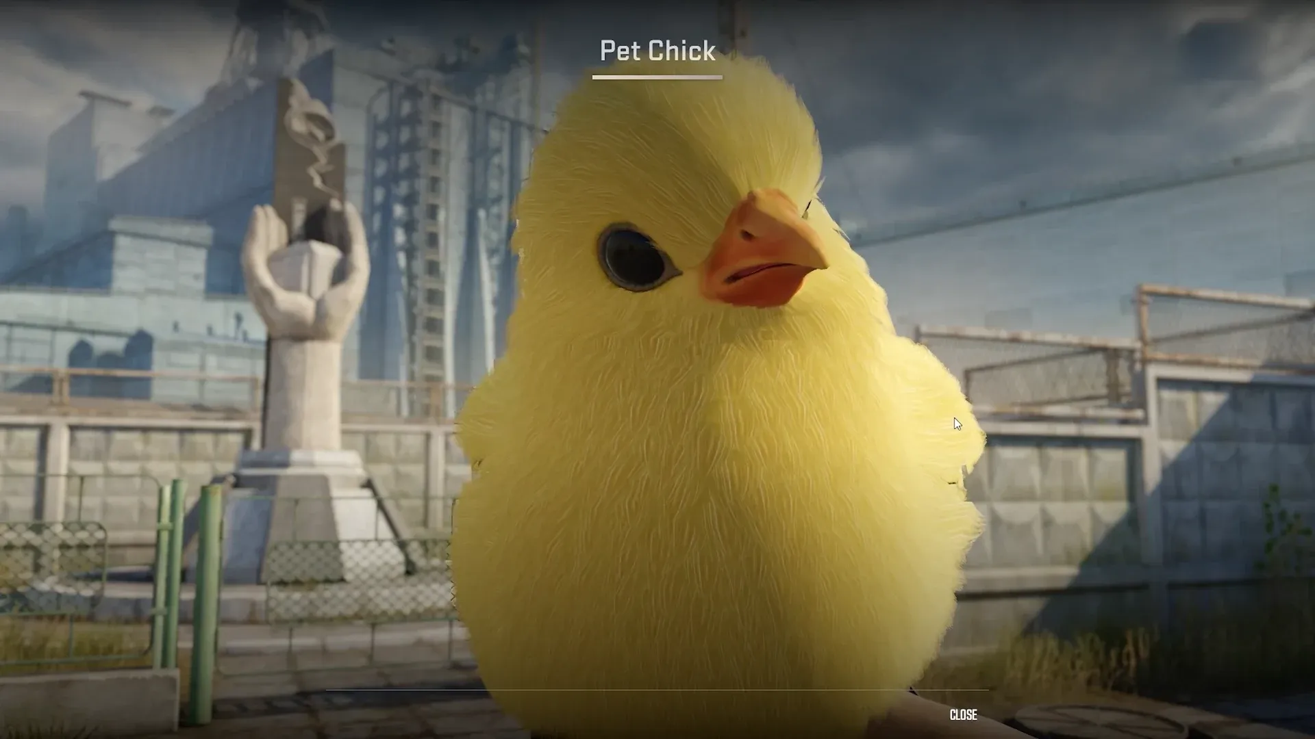 The CS2 Pet Chick, a fluffy yellow chick shown up close in the inspect view