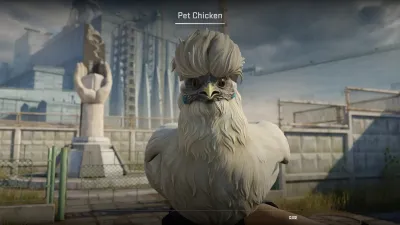A white fluffy Silkie pet chicken in the CS2 inspect view
