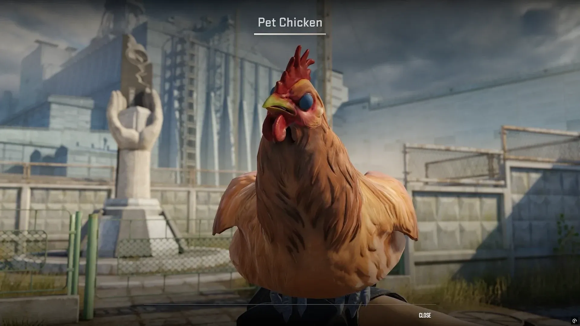 A brown standard pet chicken in the CS2 inspect view