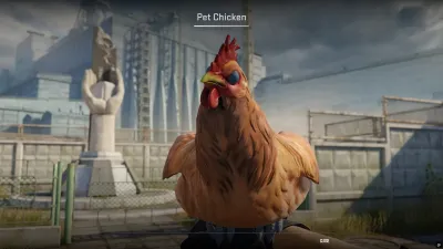 A brown standard pet chicken in the CS2 inspect view
